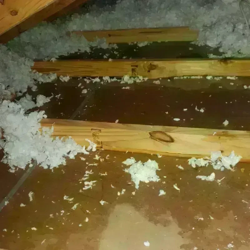 Attic Water Damage in Luyando, PR